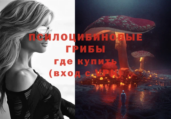 дурь Арсеньев