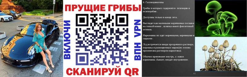 Псилоцибиновые грибы Magic Shrooms Купить где Новосиль