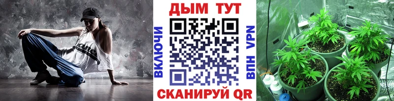 Каннабис индика  Купить закладки  Новосиль 